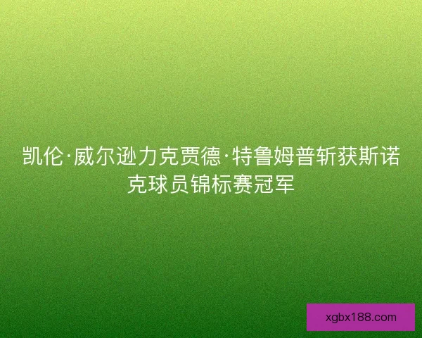 凯伦·威尔逊力克贾德·特鲁姆普斩获斯诺克球员锦标赛冠军